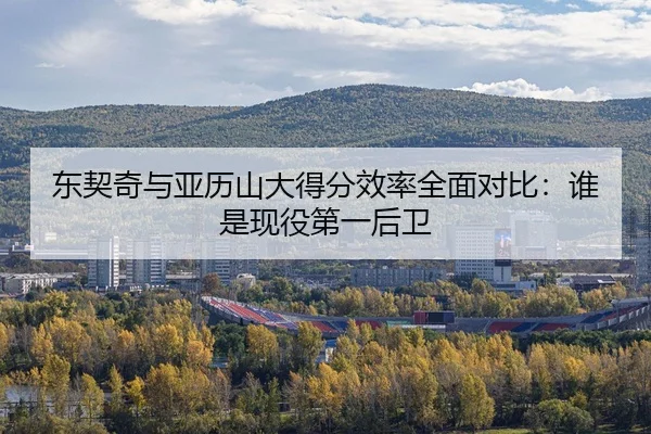 dong-qi-qi-yu-ya-li-shan-da-de-fen-xiao-lv-quan-mian-dui-bi-shui-shi-xian-yi-di-yi-hou-wei-2-986.jpg